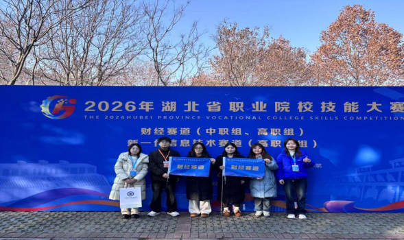 数融业财显锋芒，逐梦赛场绽荣光！我校教师团队斩获省赛三等奖